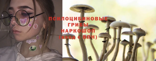 гидропоника Михайлов