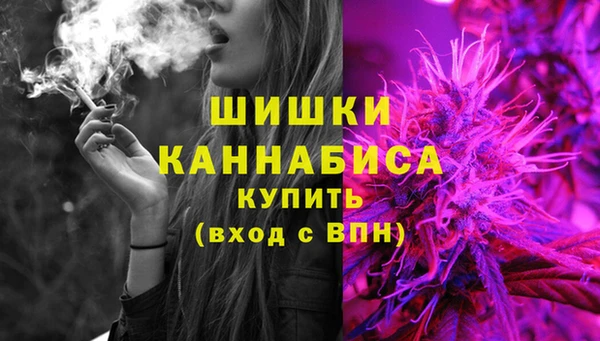 дживик Медвежьегорск