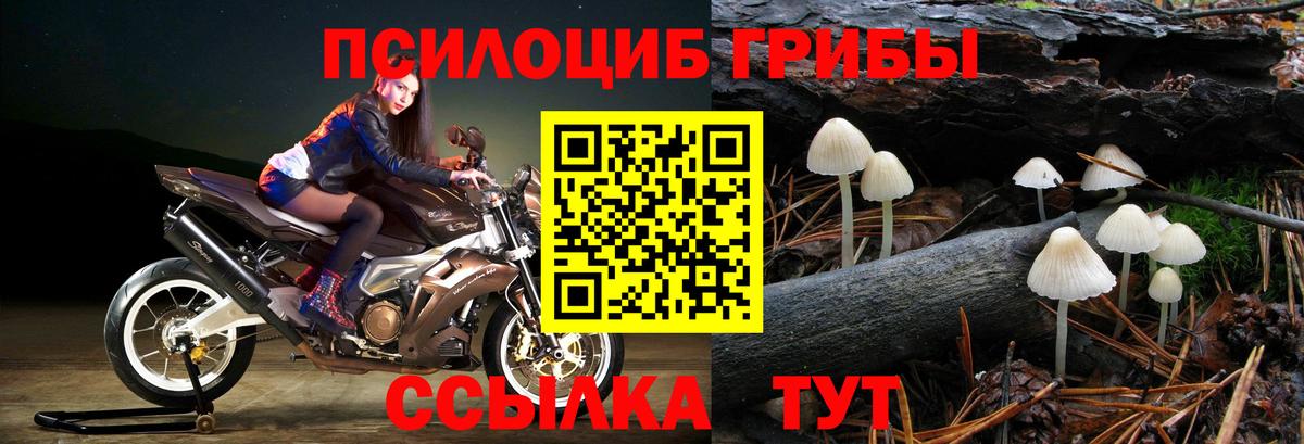 Тихвин  Галлюциногенные грибы мицелий  Вход с VPN 